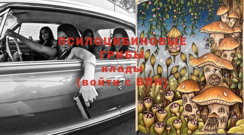 Галлюциногенные грибы MAGIC MUSHROOMS  Павловский Посад 